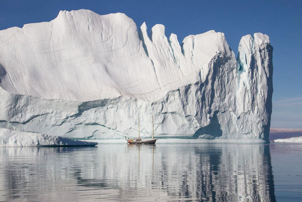 Image courtesy of Ocean Research Project. 