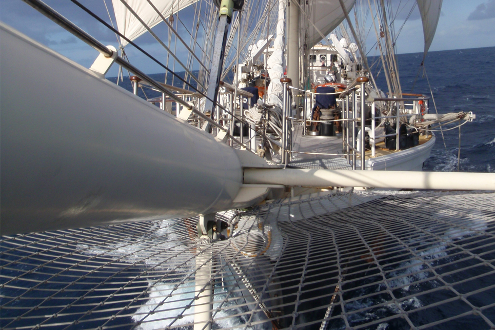 Tenacious